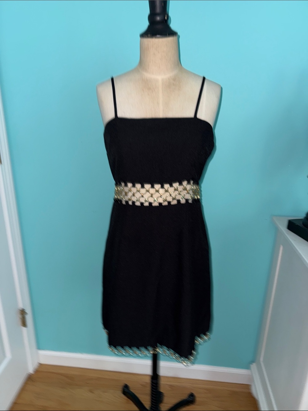 Francesca’s Dress